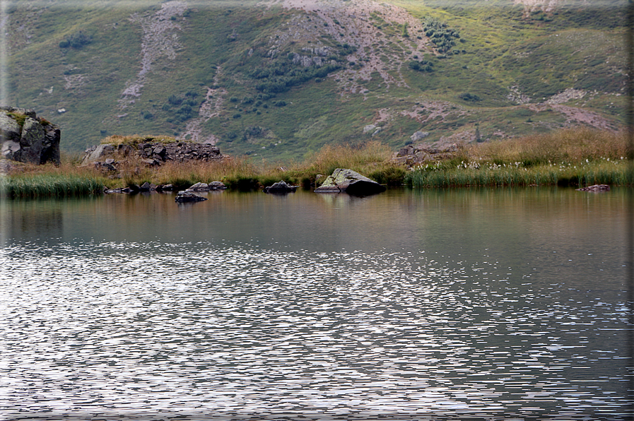 foto Lago di Montalon